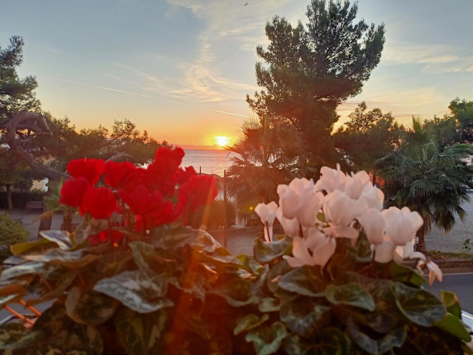Hotel Serena 아렌자노 외부 사진